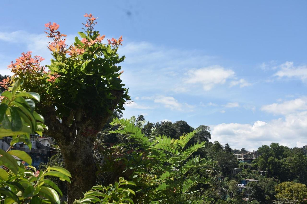 Cozy Homestay Kandy Exterior foto